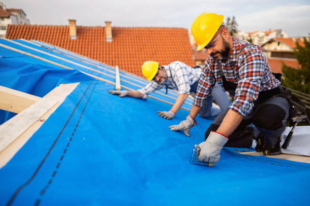 Best Metal Roofing Installation  in Glespie, IL